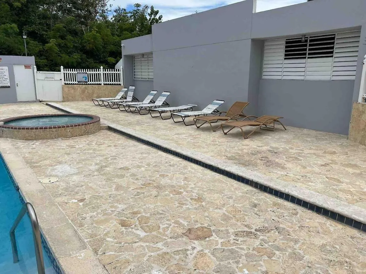 Close To Airport And Main Tourist Attractions Carolina